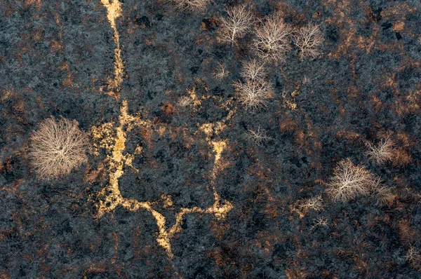 Drone view of recent arson attack at Waldridge Fell. Site of Special Scientific Interest in County Durham. Scorched black heather and gorse bushes after large heath fire.