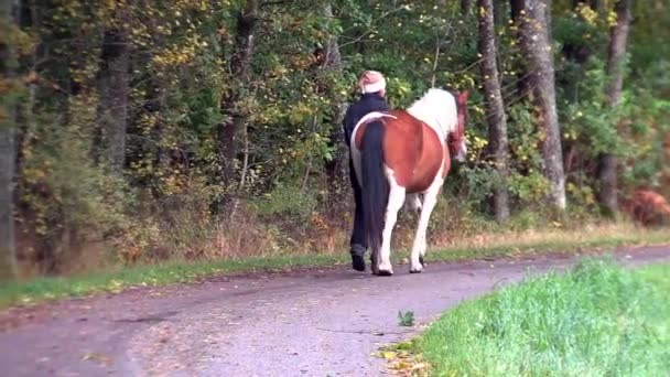 Wandern mit Pferd — Stockvideo