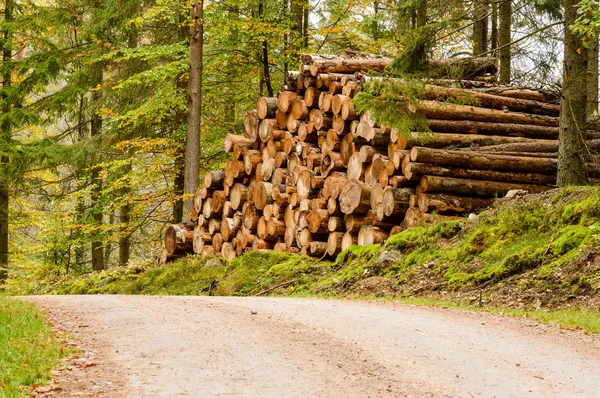 Logs Stock Image