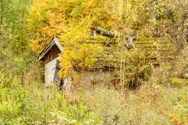 Alte Hütte Stockbild