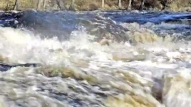 Rapids
