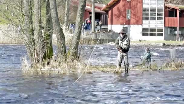 Fly fishing — Stock Video