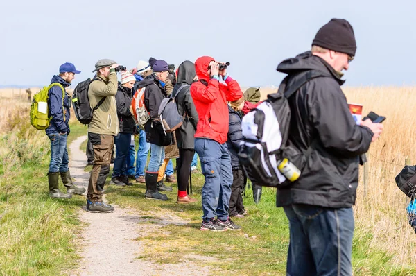 Observadores de aves — Fotografia de Stock