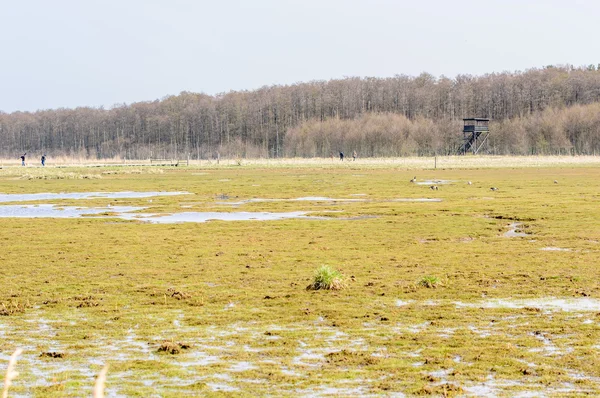 Zu Fuß zum Vogelbeobachtungsturm — Stockfoto