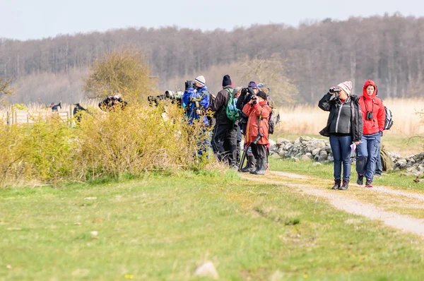 Madármegfigyelők — Stock Fotó