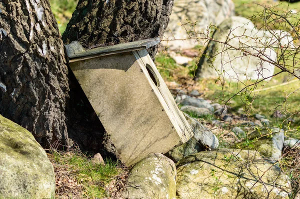 Fallen home — Stock Photo, Image