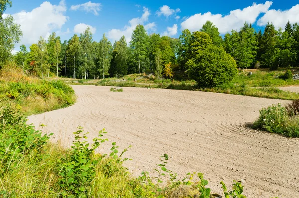 Trockenes Feld Stockbild