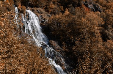 Sonbahar ağaçlarıyla dağdan akan şelale manzarası 