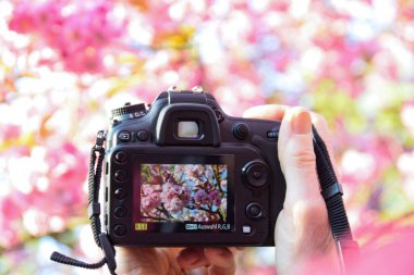 Dijital bir SR filmiyle kamerayı tutan eller.