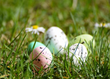 Bahçedeki çimlerde paskalya yumurtası 