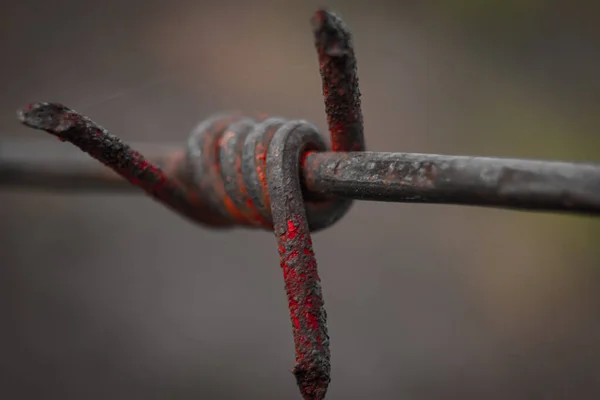 Piece Old Rusty Barbed Wire — Stock Photo, Image