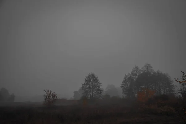 Morgennebel Über Einem Herbstlichen Feld — Stockfoto