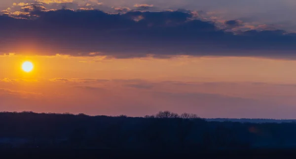 Sol Tarde Sobre Bosque — Foto de Stock