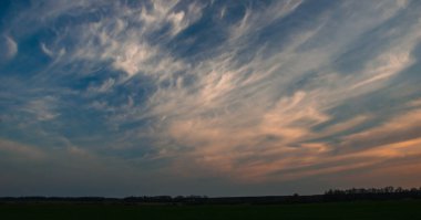 feather clouds over the field at sunset 