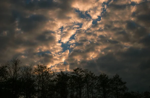 Wolken Bij Zonsondergang Boven Het Bos — Stockfoto