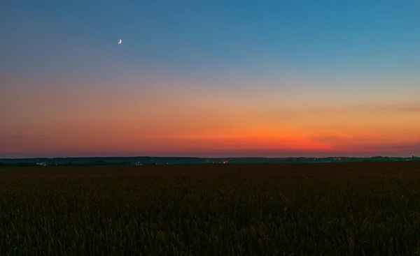 Céu Noturno Lua Sobre Campo Trigo — Fotografia de Stock