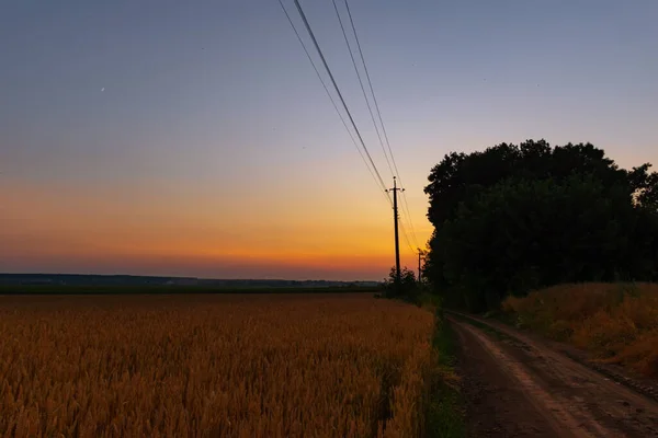 Buğday Tarlasının Yanındaki Yol Gün Batımının Arka Planında — Stok fotoğraf