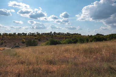 Sonbaharın başlarında kırsal alan. Ukrayna kırsalının güzel manzarası. Kırsal alan. Ağaçlar, kuru otlar, mavi gökyüzü ve beyaz bulutlar.
