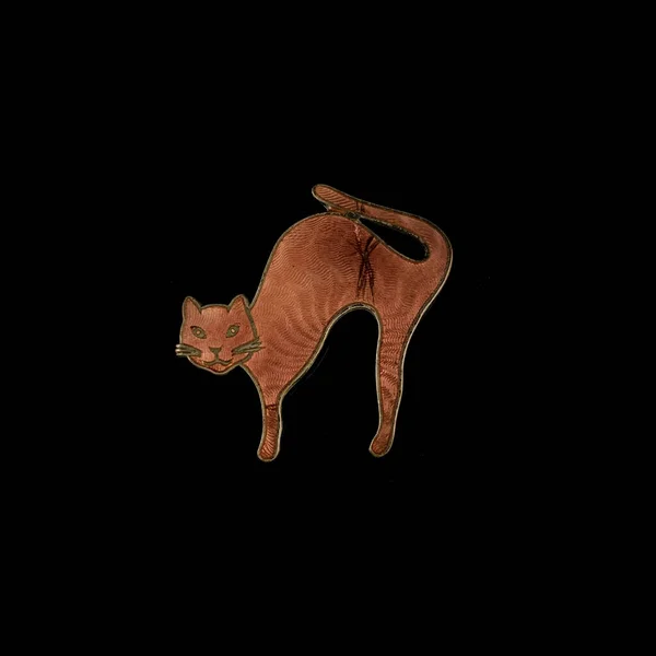 Gold Jewelry Shape Cat Crystals Vintage Brooch Shape Cat — Stock Photo, Image