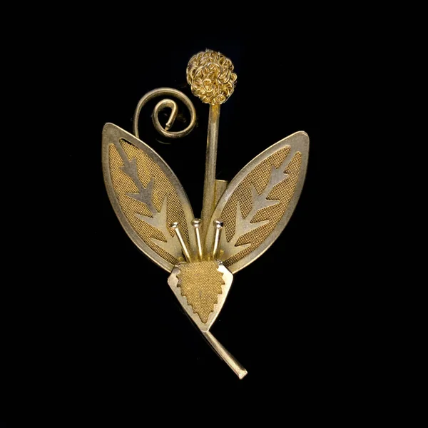 Değerli Taşlar Çiçek Şeklinde Kristallerle Altın Antika Broş Çiçek Şeklinde — Stok fotoğraf
