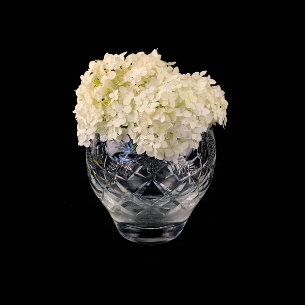 Antique Glass Vase Flowers Rose Bowl Black Isolated Background — Foto Stock