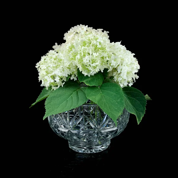 Antique Glass Vase Flowers Rose Bowl Black Isolated Background — Photo