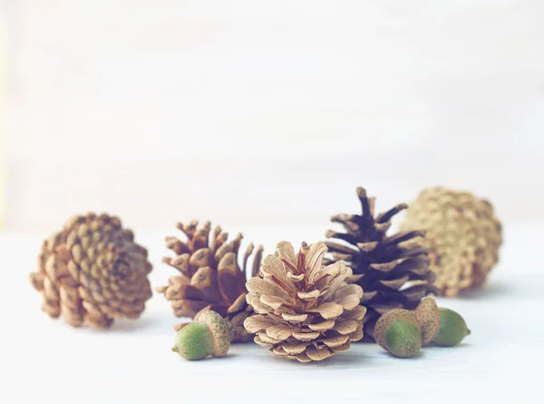 Pine cones with acorns on white wooden texture — Stock Photo, Image