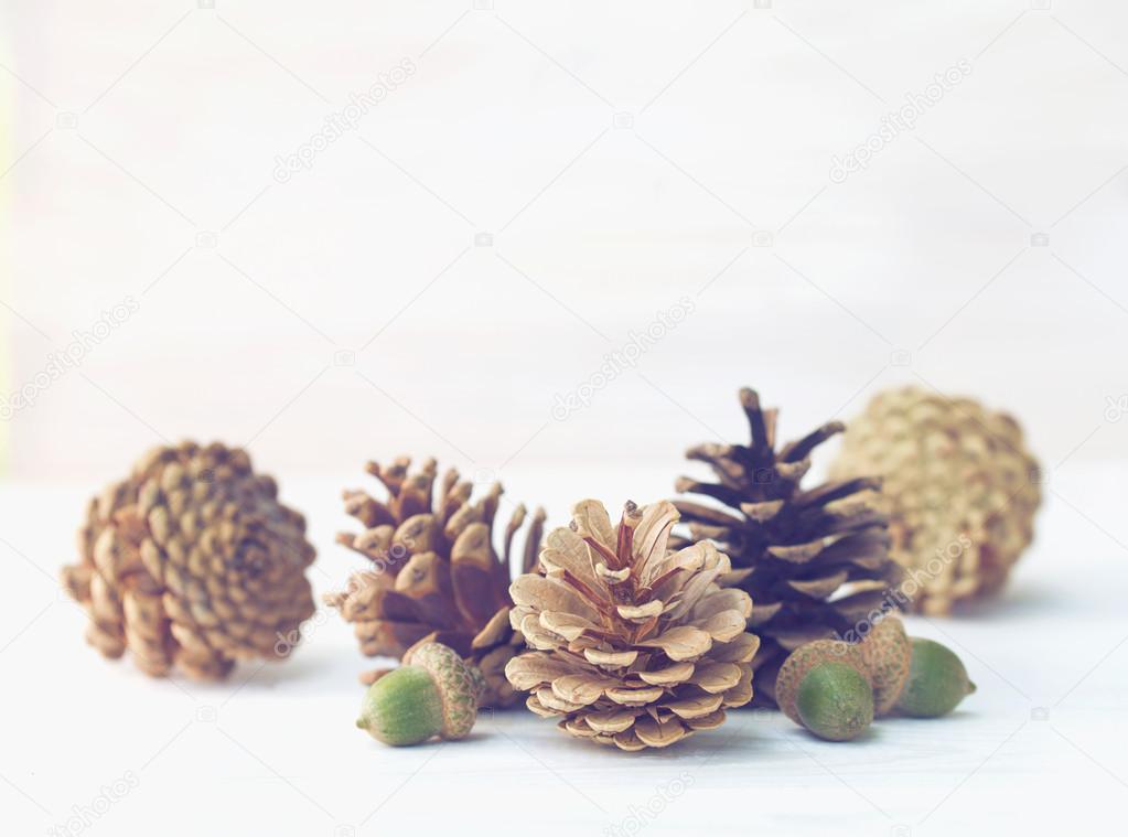 Pine cones with acorns on white wooden texture