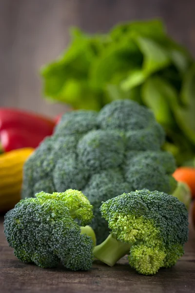 Diverse grønnsaker på landet – stockfoto