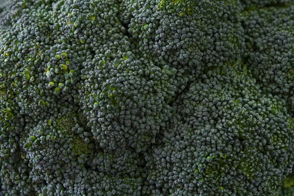 Verde Broccoli textura fundo — Fotografia de Stock