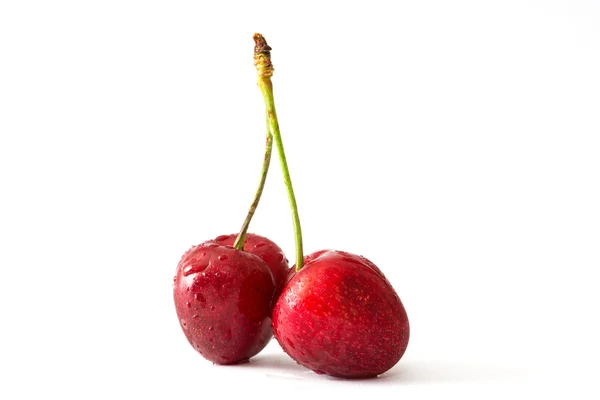 Délicieuses cerises isolées sur fond blanc — Photo