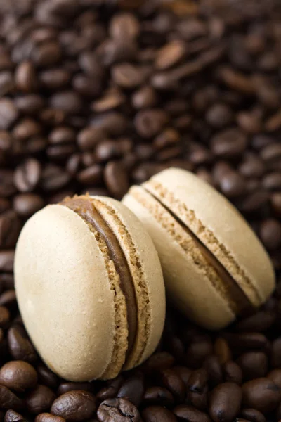 French coffee macaroons and coffee beans background