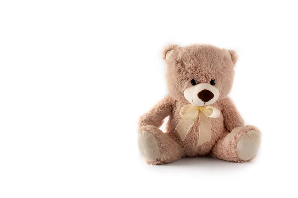 Teddy Bear Isolated White Background Copy Space — Stock Photo, Image