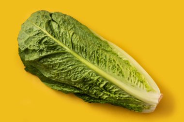 Sarı arka planda taze marul. Üst görünüm