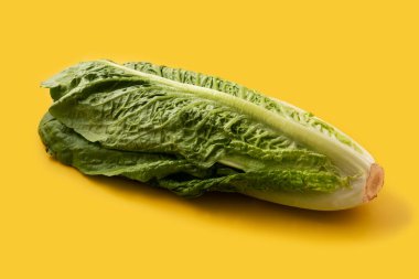 Sarı arka planda taze marul.