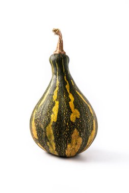 Beyaz arkaplanda izole edilmiş taze yeşil balkabağı