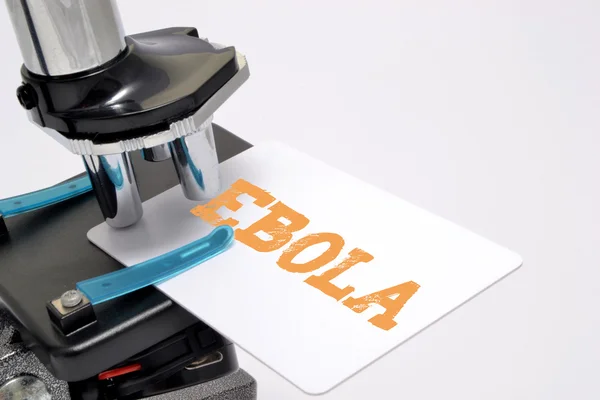 Microscope analysant le virus Ebola — Photo