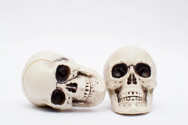 Halloween schedel — Stockfoto