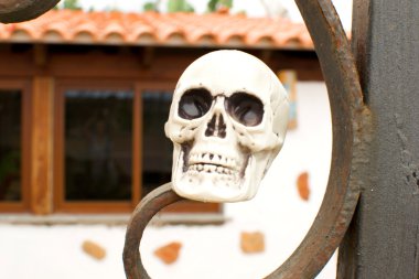 Bahçedeki kafatasları