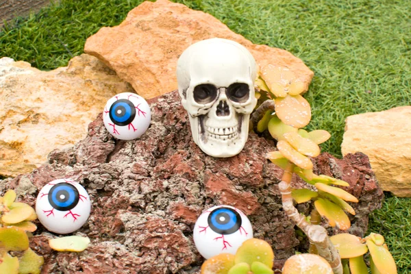 Skulls in the garden — Stock Photo, Image