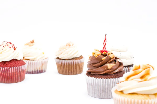 Birthday cupcakes — Stockfoto