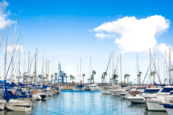 Marina in Gran Canaria — Stock Photo, Image