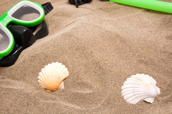 Snorkel, shell on sand — Stock Photo, Image