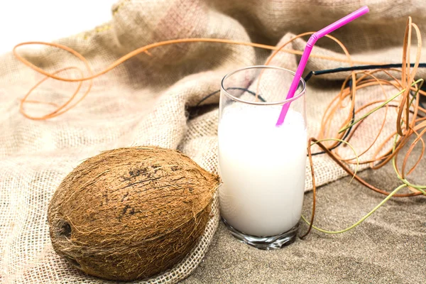 Coconut on summer — Stock Photo, Image