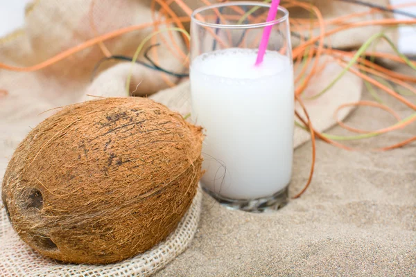 Kokosnuss im Sommer — Stockfoto