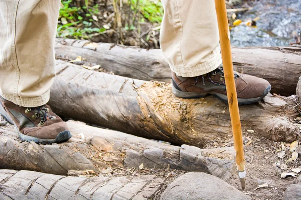 Man hiking — Stock Photo, Image