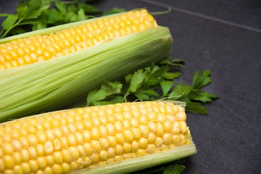 Kayrak masada Mısır