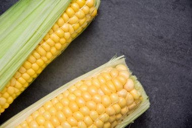 Kayrak masada Mısır