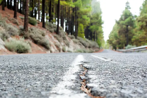 Autumn road — Stock Photo, Image