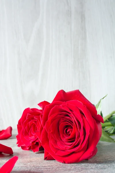 Rosas sobre madeira — Fotografia de Stock